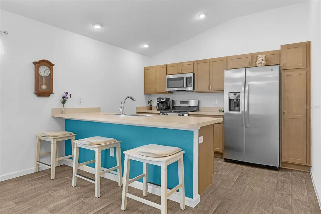1352 Marybeth Lane The Villages FL 32163