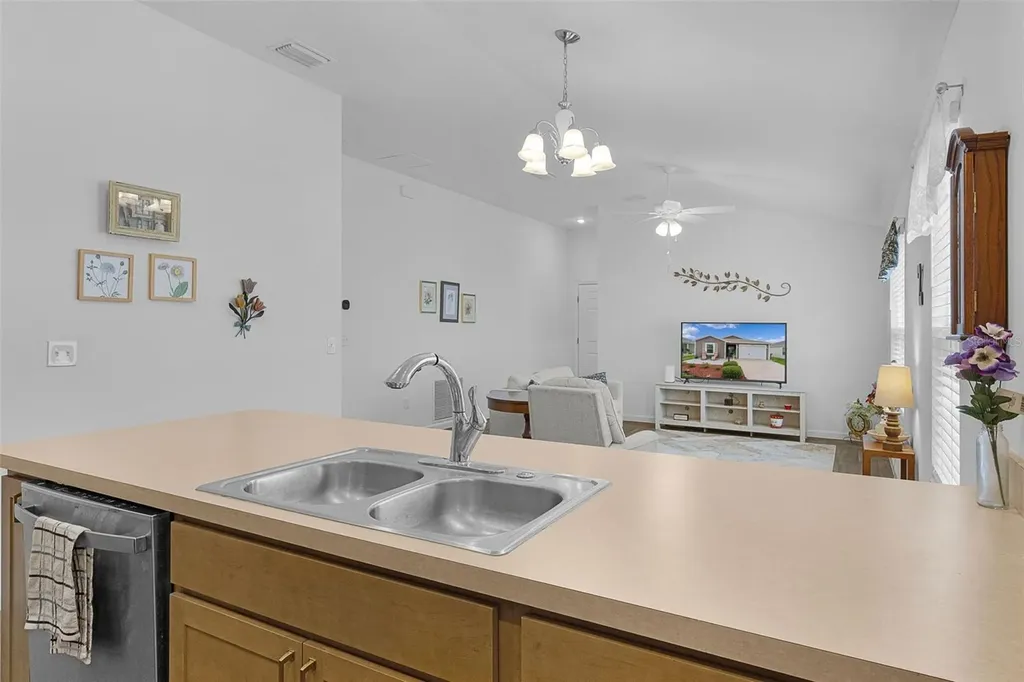 1352 Marybeth Lane The Villages FL 32163