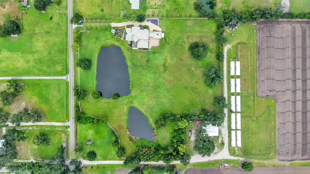 5503 Downing Street Dover FL 33527