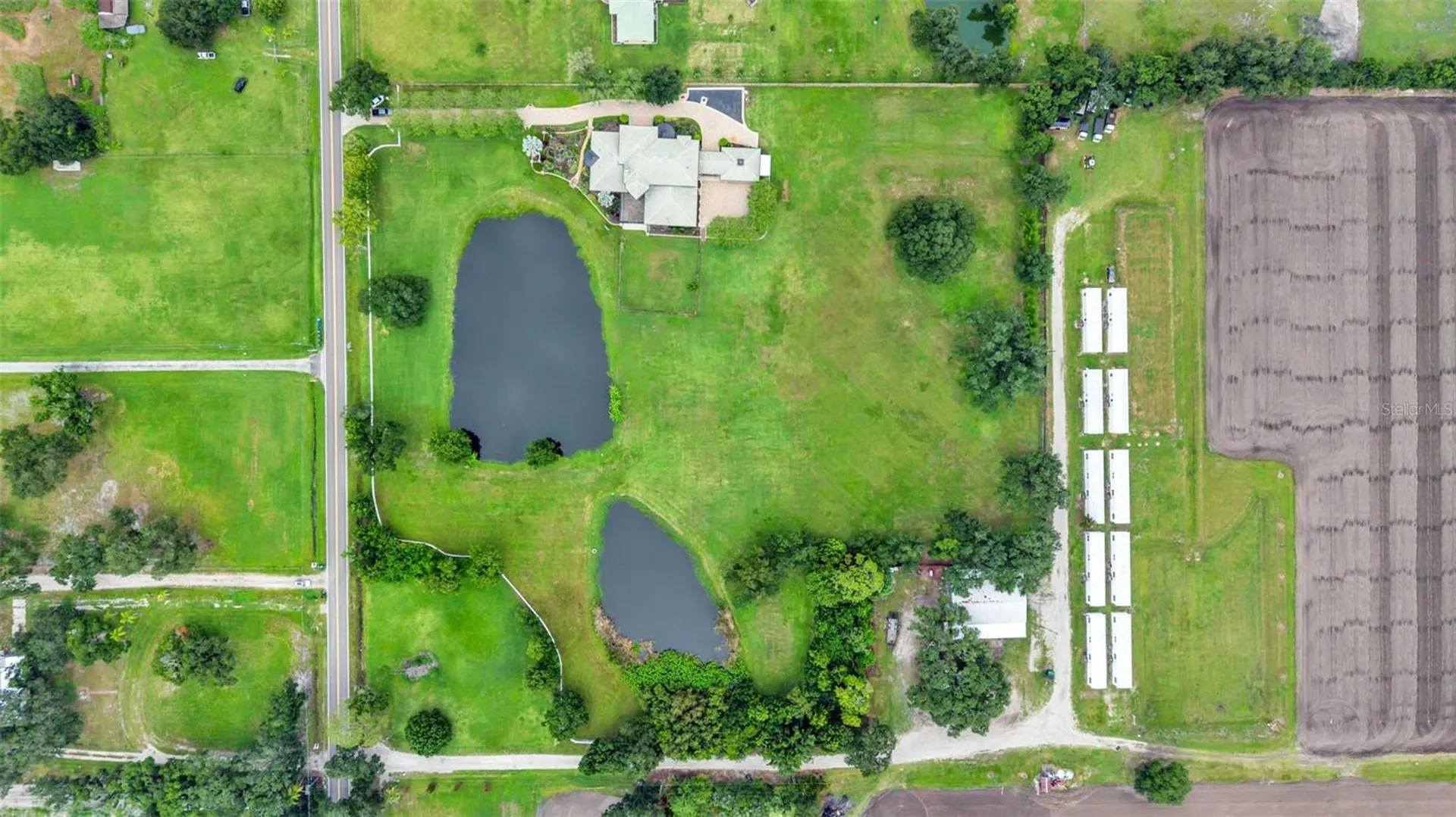 5503 Downing Street Dover FL 33527