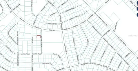 14 Pine Radial Run Ocala FL 34472