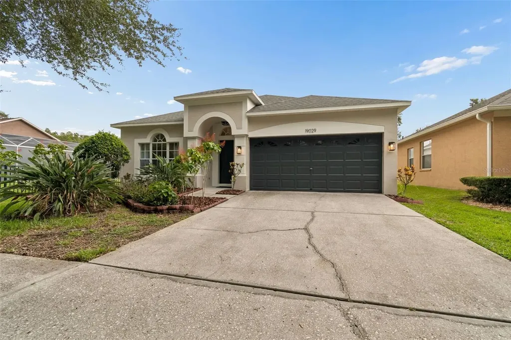 19029 Chemille Drive Lutz FL 33558