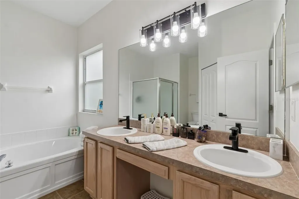 19029 Chemille Drive Lutz FL 33558