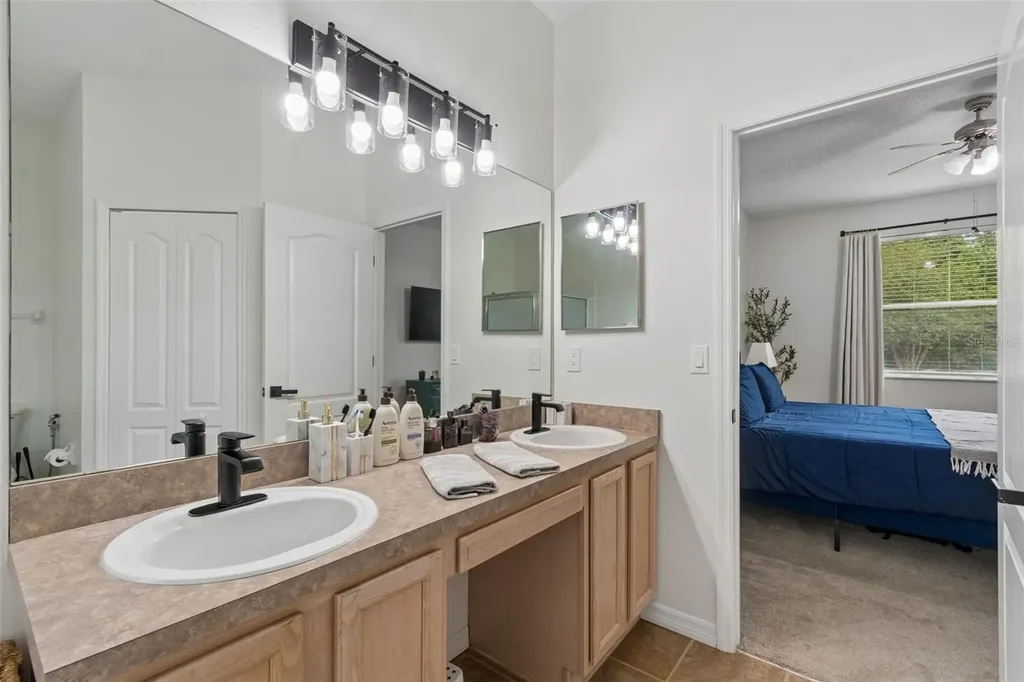 19029 Chemille Drive Lutz FL 33558