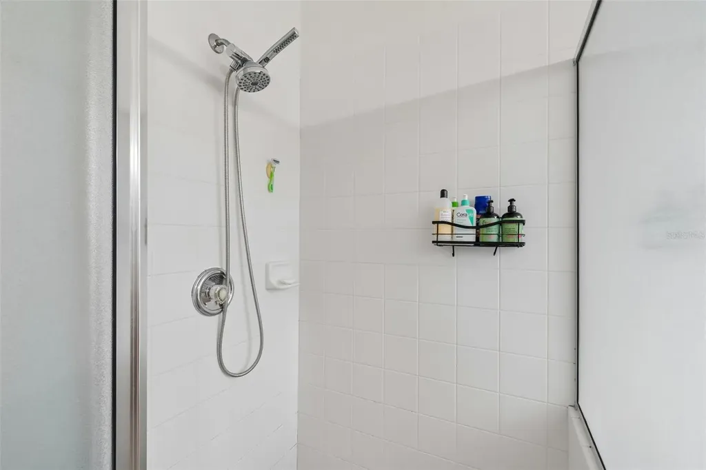 19029 Chemille Drive Lutz FL 33558