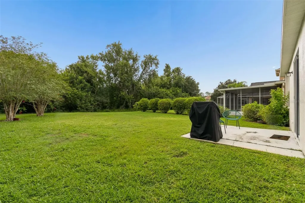 19029 Chemille Drive Lutz FL 33558
