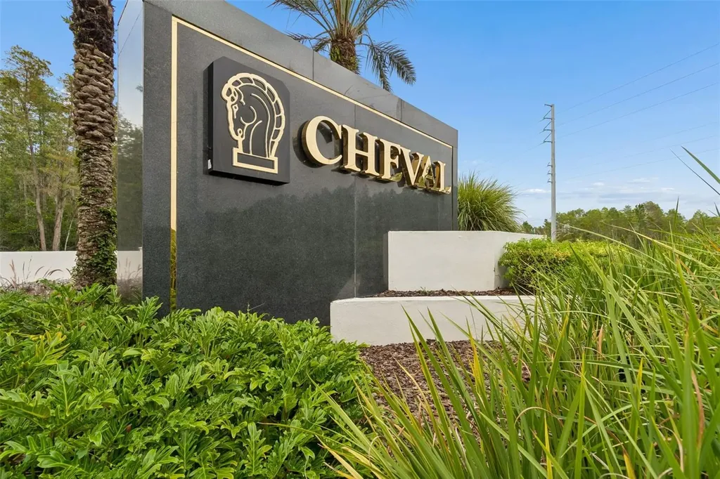 19029 Chemille Drive Lutz FL 33558