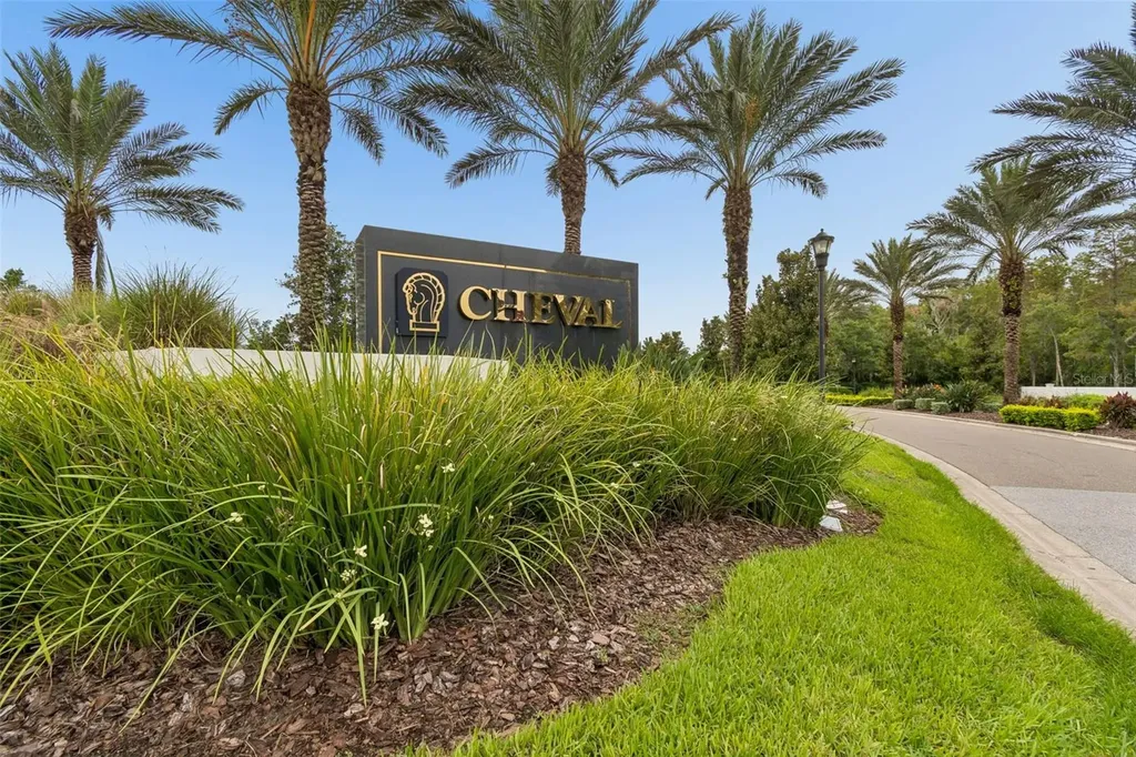 19029 Chemille Drive Lutz FL 33558
