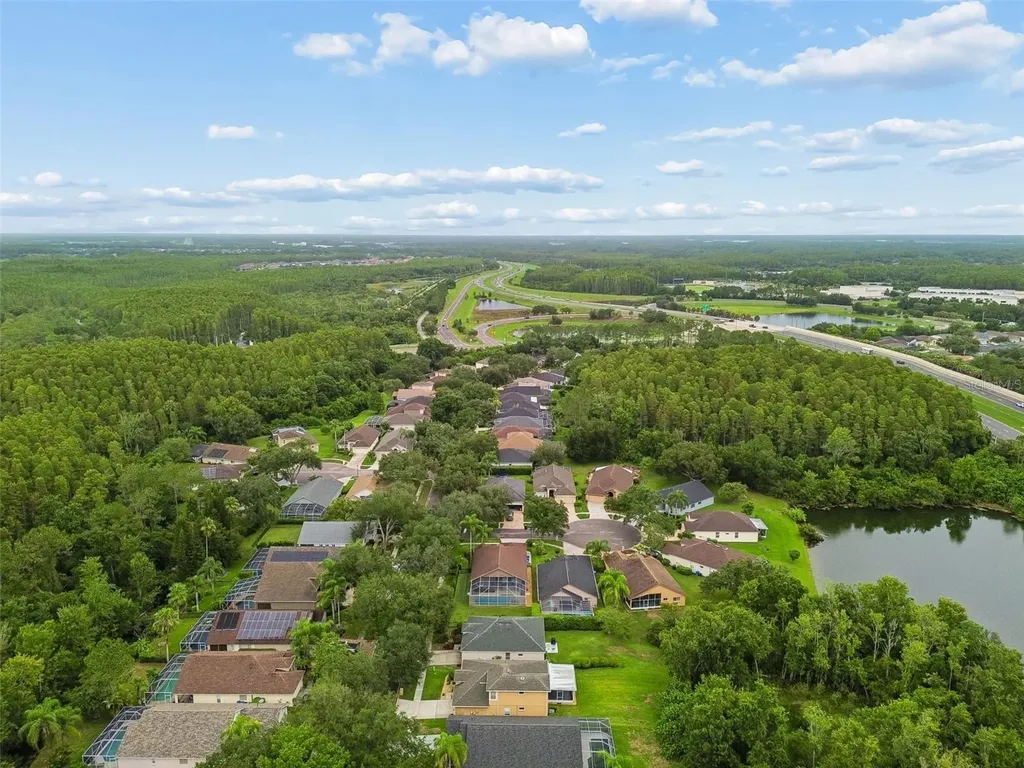 19029 Chemille Drive Lutz FL 33558