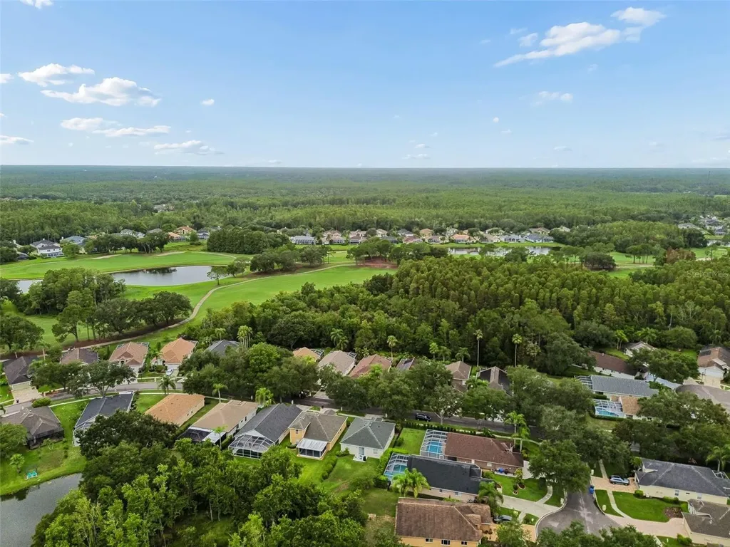 19029 Chemille Drive Lutz FL 33558