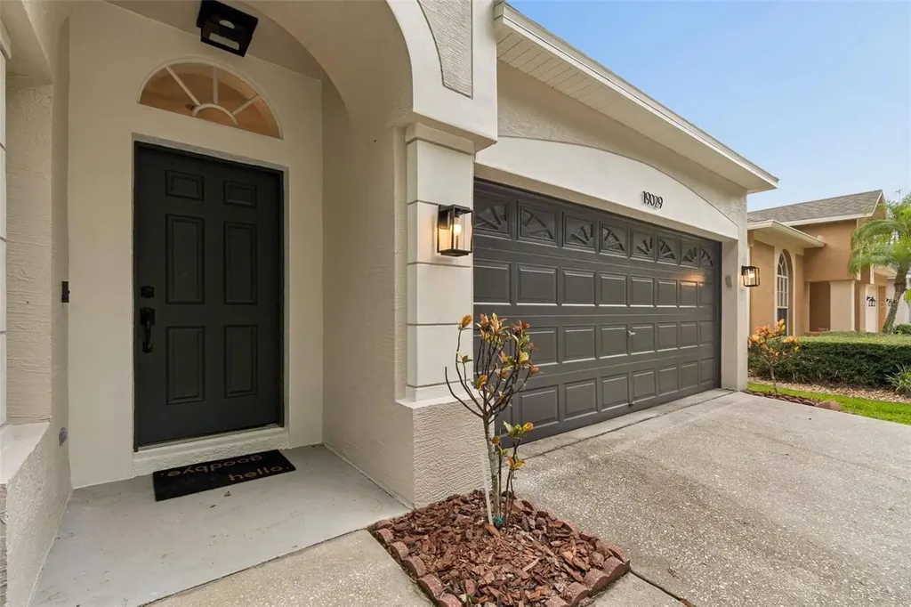 19029 Chemille Drive Lutz FL 33558