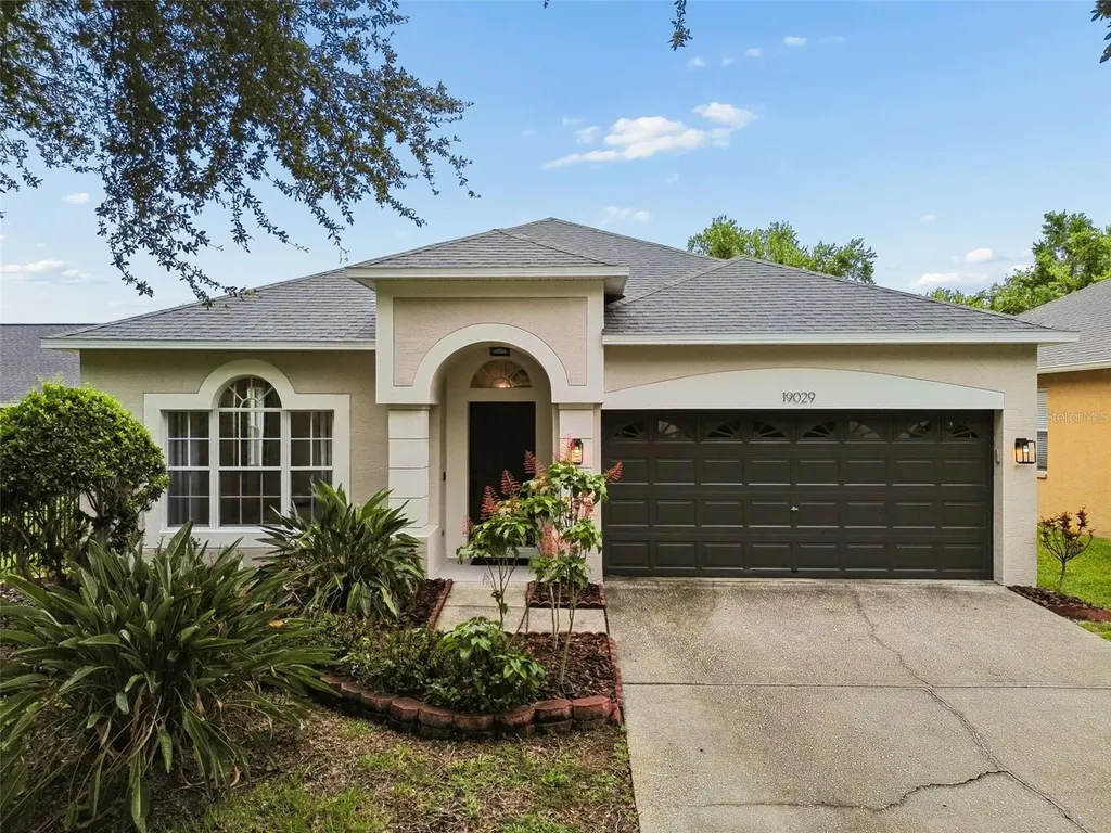 19029 Chemille Drive Lutz FL 33558
