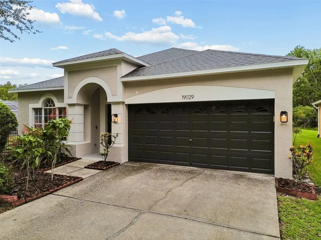 19029 Chemille Drive Lutz FL 33558