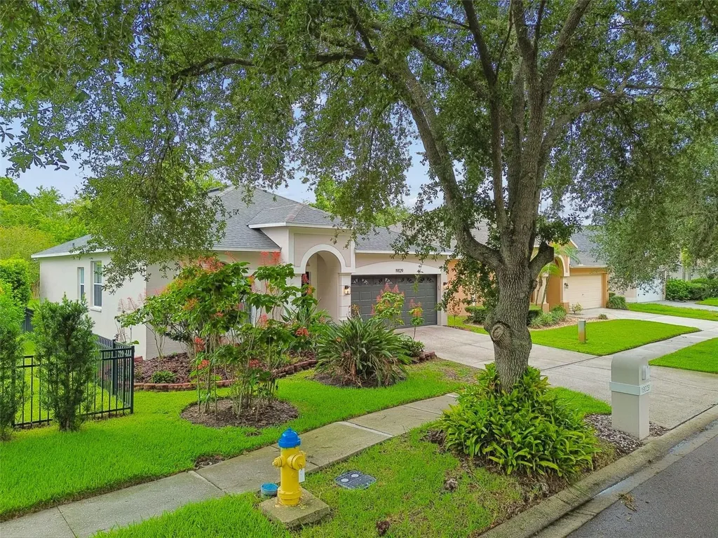 19029 Chemille Drive Lutz FL 33558