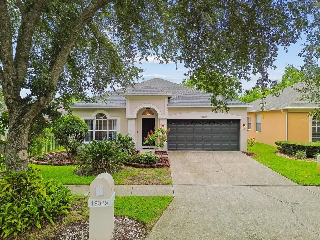 19029 Chemille Drive Lutz FL 33558