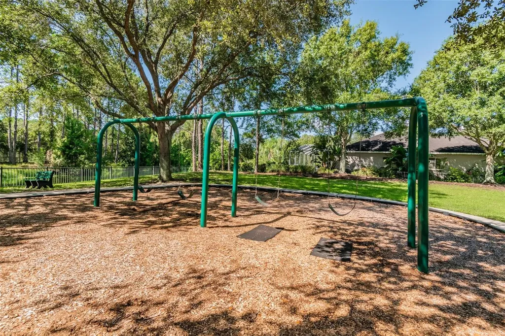 19029 Chemille Drive Lutz FL 33558
