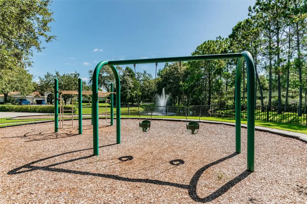19029 Chemille Drive Lutz FL 33558