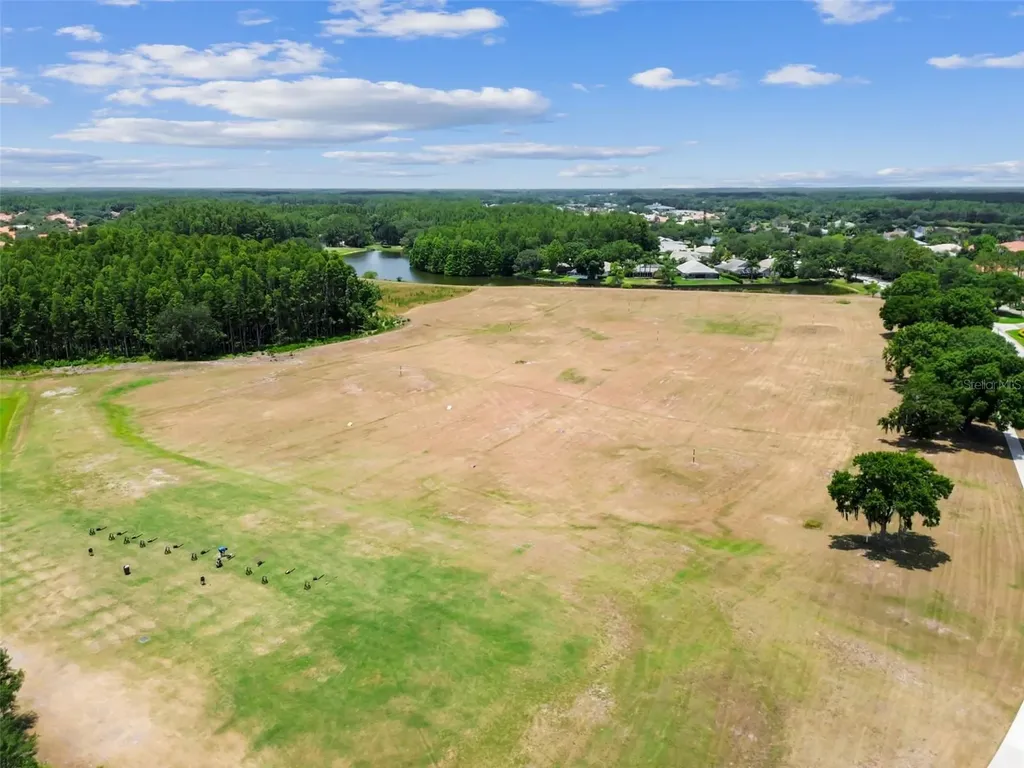 19029 Chemille Drive Lutz FL 33558