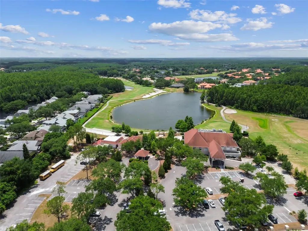 19029 Chemille Drive Lutz FL 33558