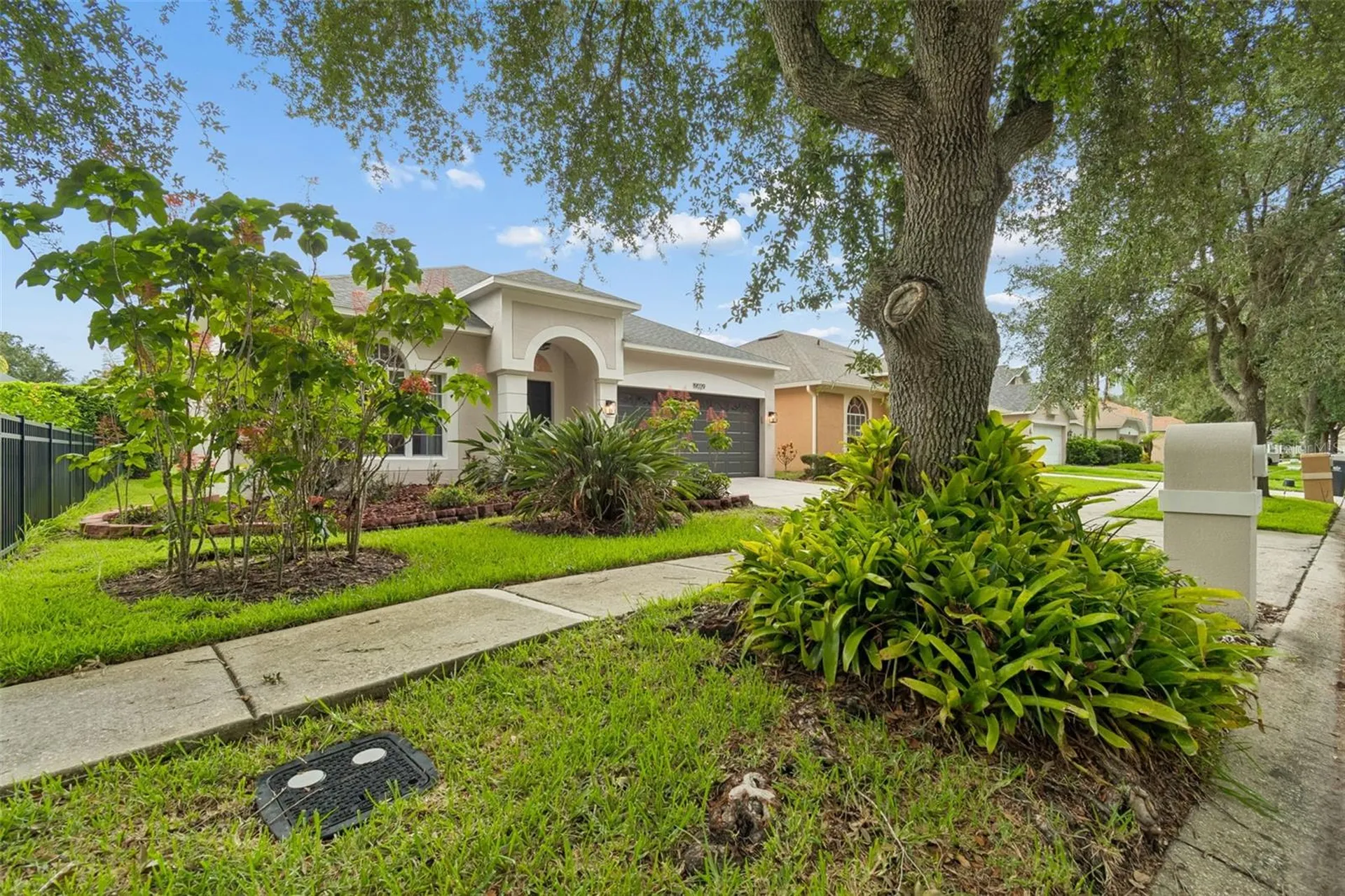 19029 Chemille Drive Lutz FL 33558