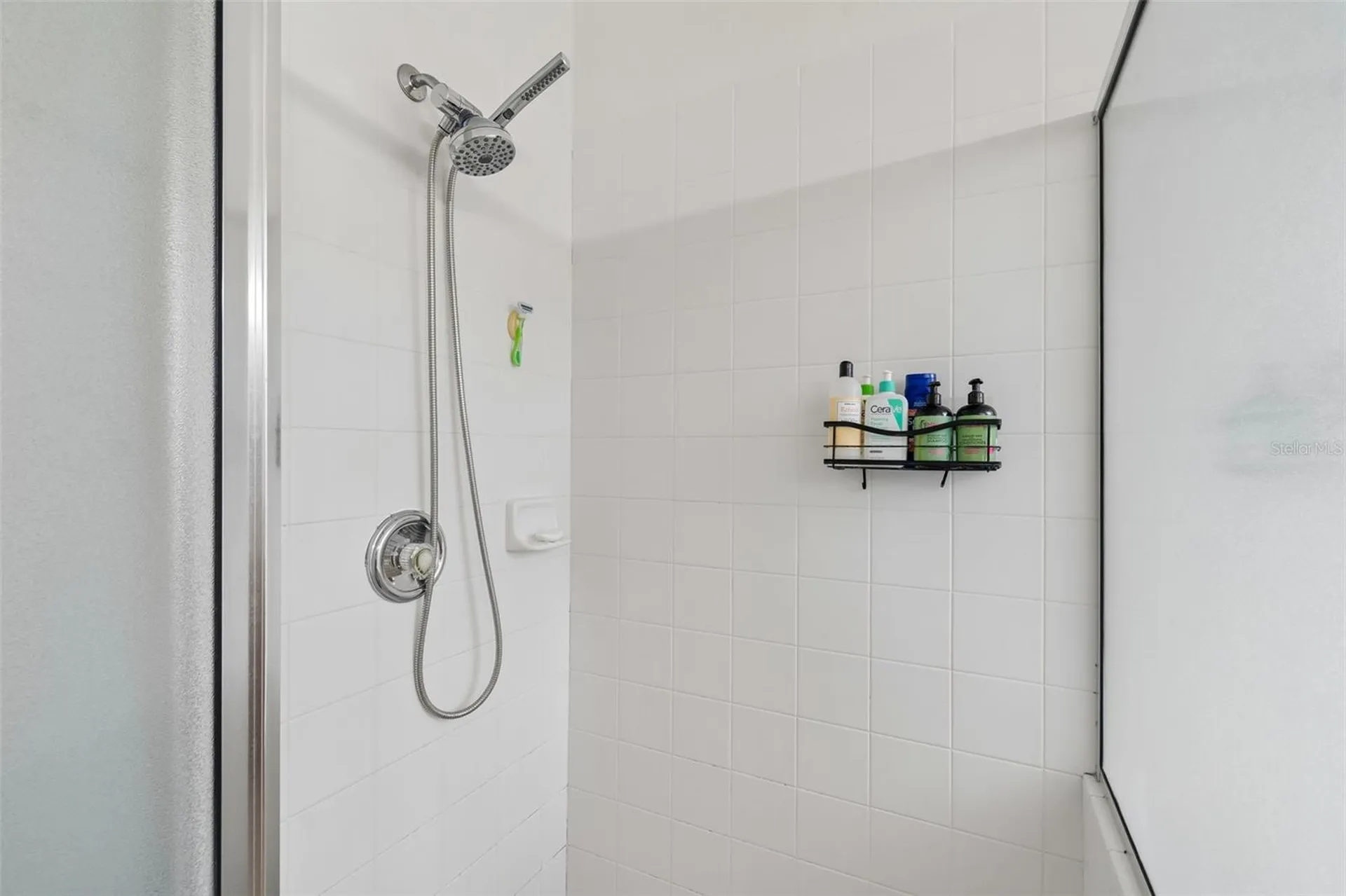 19029 Chemille Drive Lutz FL 33558