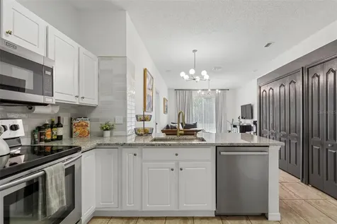 19029 Chemille Drive Lutz FL 33558