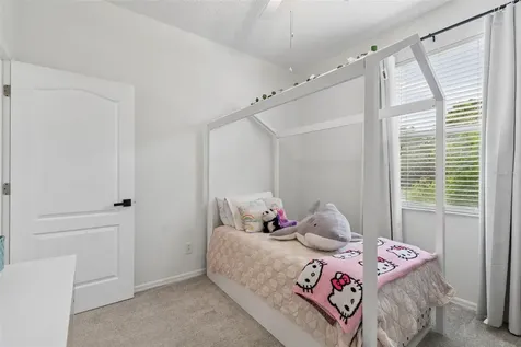 19029 Chemille Drive Lutz FL 33558