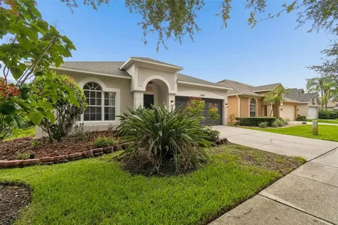 19029 Chemille Drive Lutz FL 33558