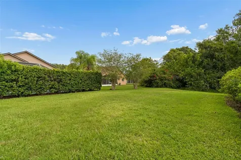 19029 Chemille Drive Lutz FL 33558