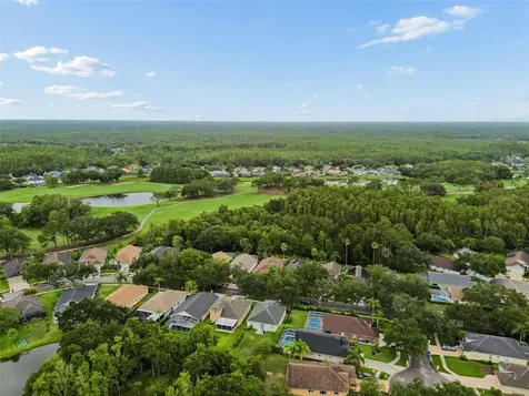 19029 Chemille Drive Lutz FL 33558