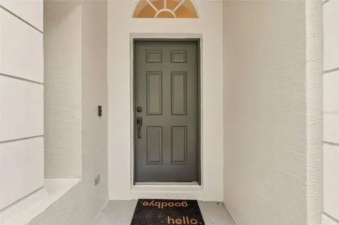 19029 Chemille Drive Lutz FL 33558