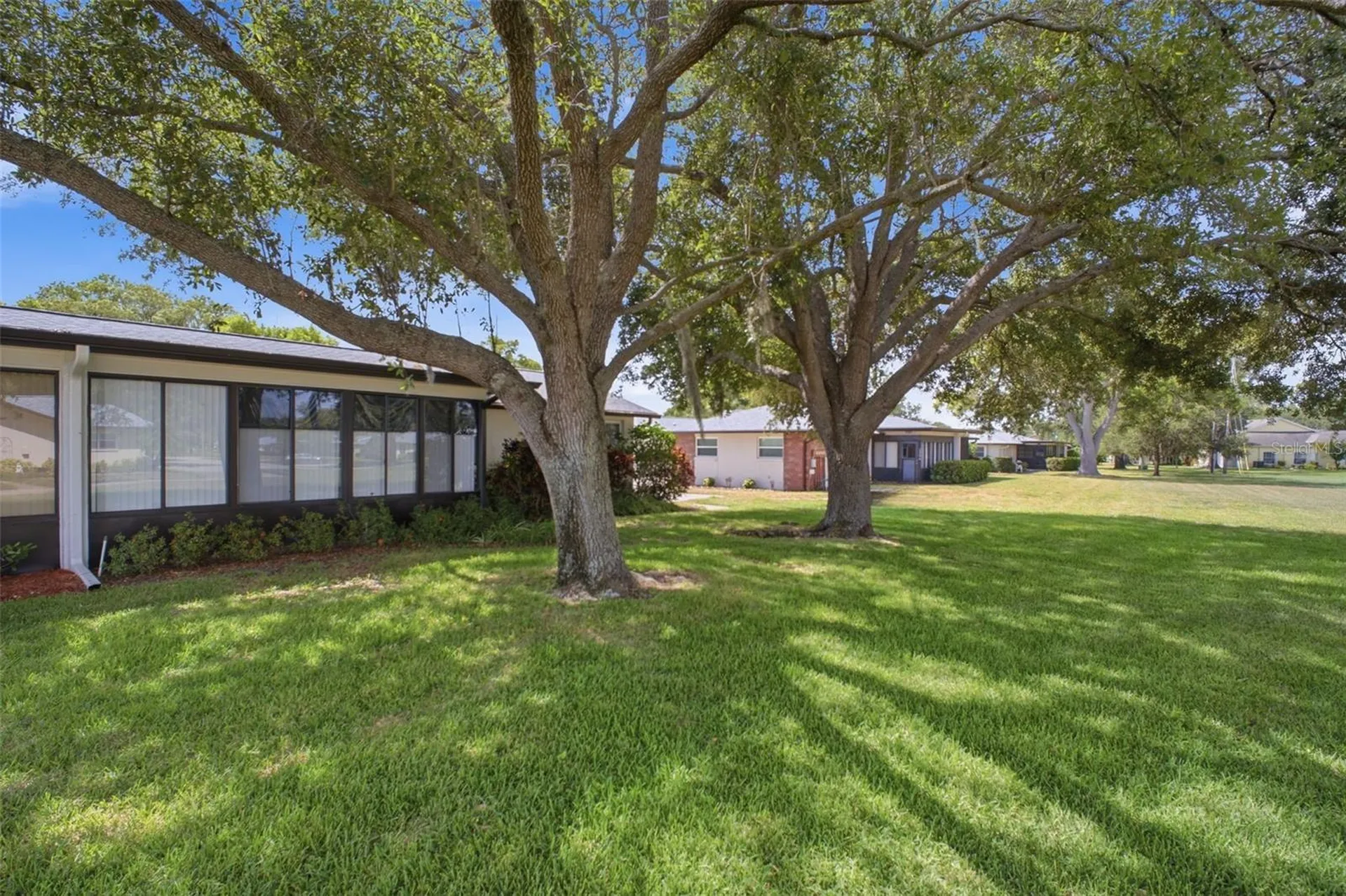 1335 Queen Anne Drive Palm Harbor FL 34684
