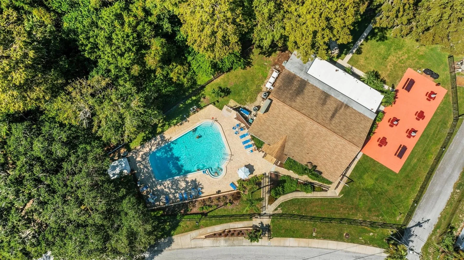 1335 Queen Anne Drive Palm Harbor FL 34684