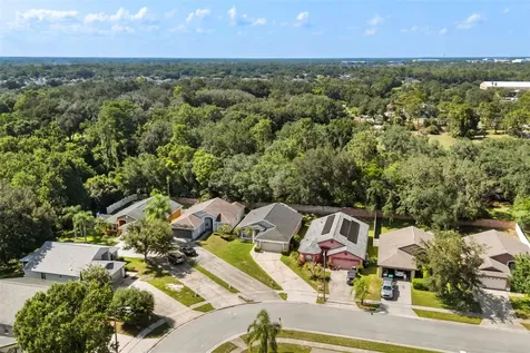 11130 Pinewood Cove Lane Orlando FL 32817
