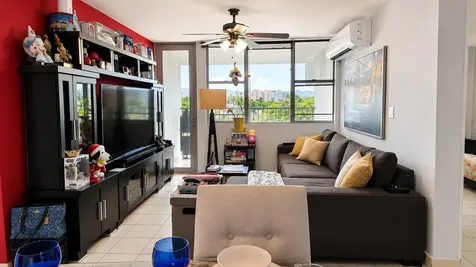 17 Regina Medina Guaynabo PR 00969