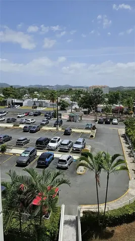 17 Regina Medina Guaynabo PR 00969