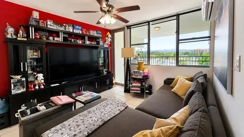 17 Regina Medina Guaynabo PR 00969