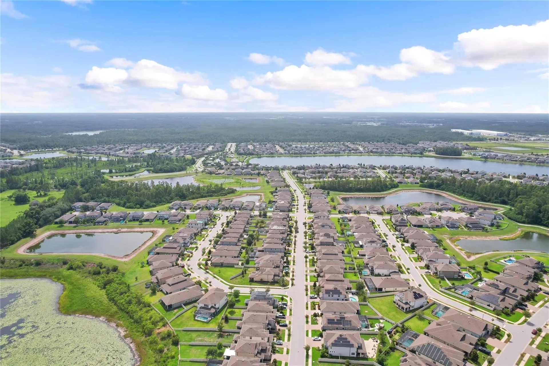 19364 Breynia Drive Lutz FL 33558