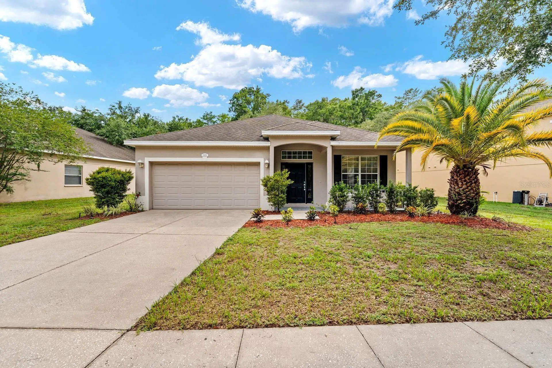 New Port Richey FL 34654