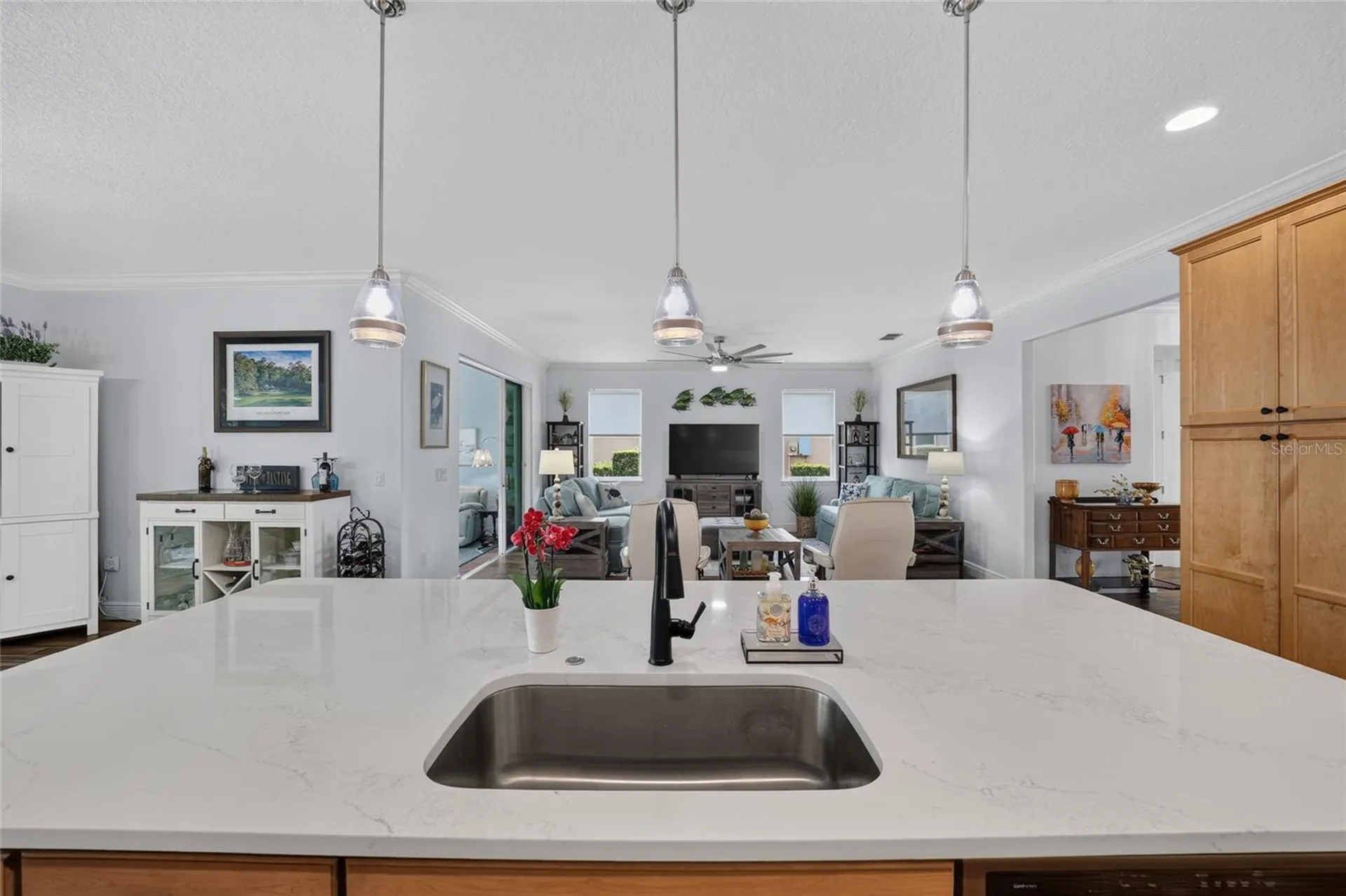 8649 SW 94th Circle Ocala FL 34481