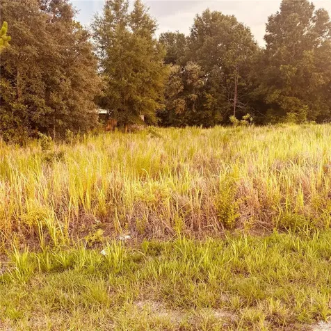 Tbd Dogwood Drive Course Ocala FL 34472