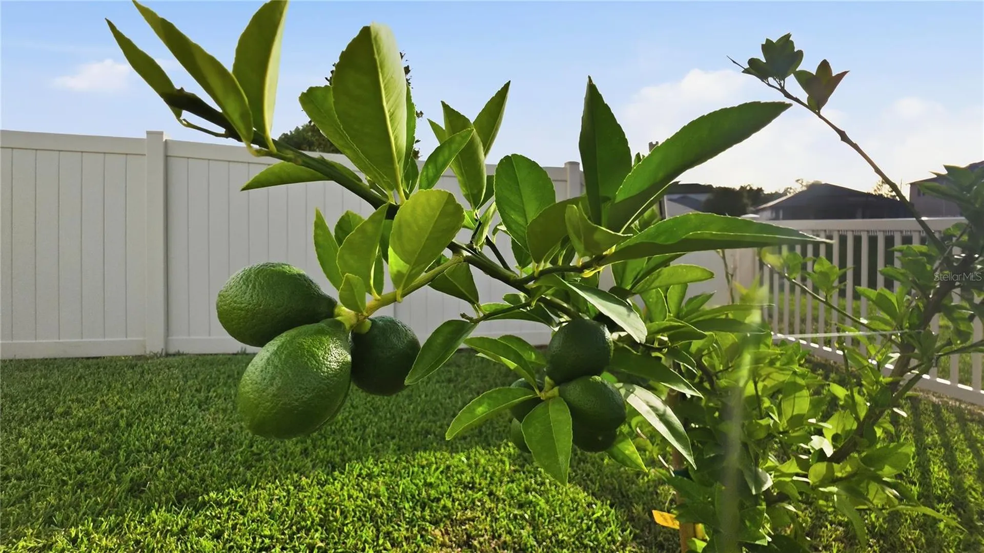 13471 Newport Shores Drive Hudson FL 34669