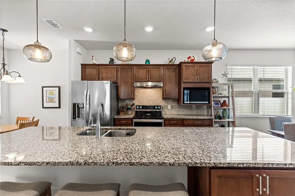 9725 SW 63rd Loop Ocala FL 34481
