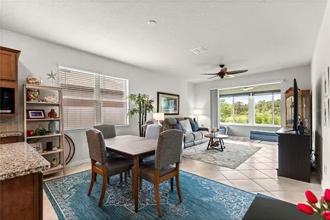 9725 SW 63rd Loop Ocala FL 34481