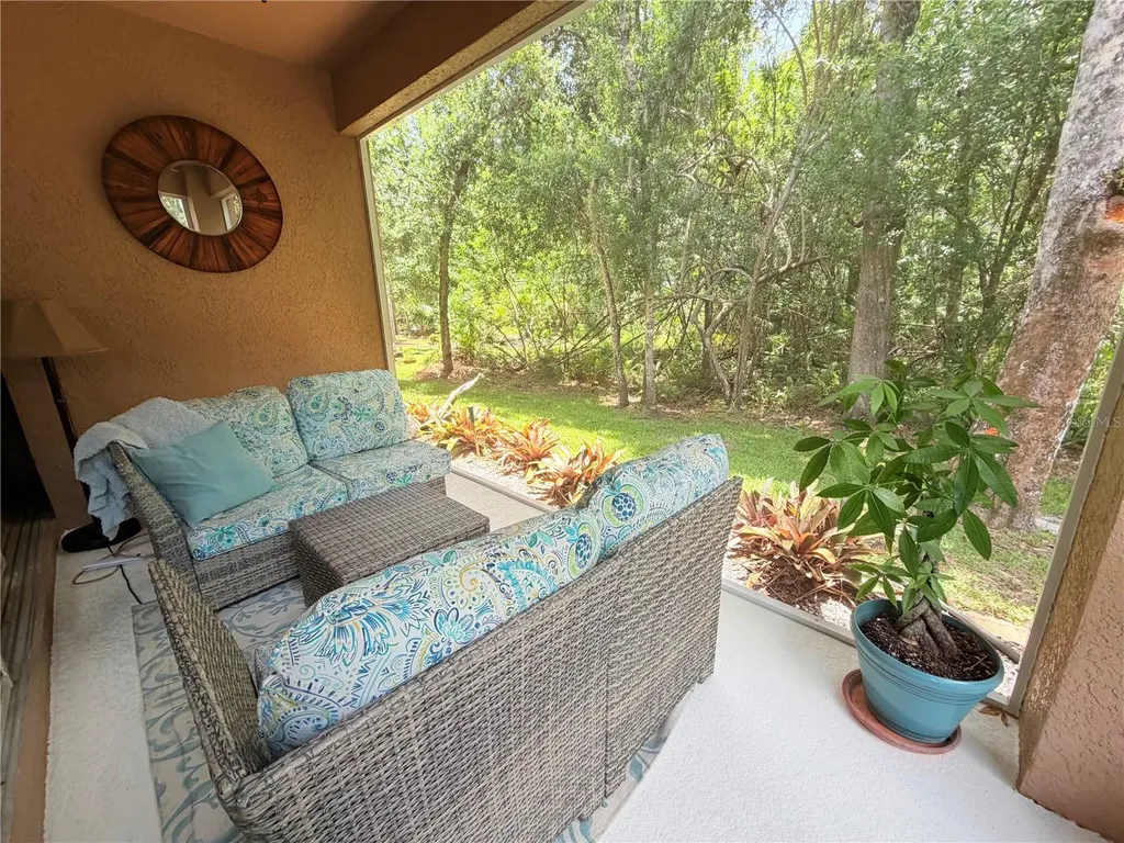 4244 Preserve Place Palm Harbor FL 34685
