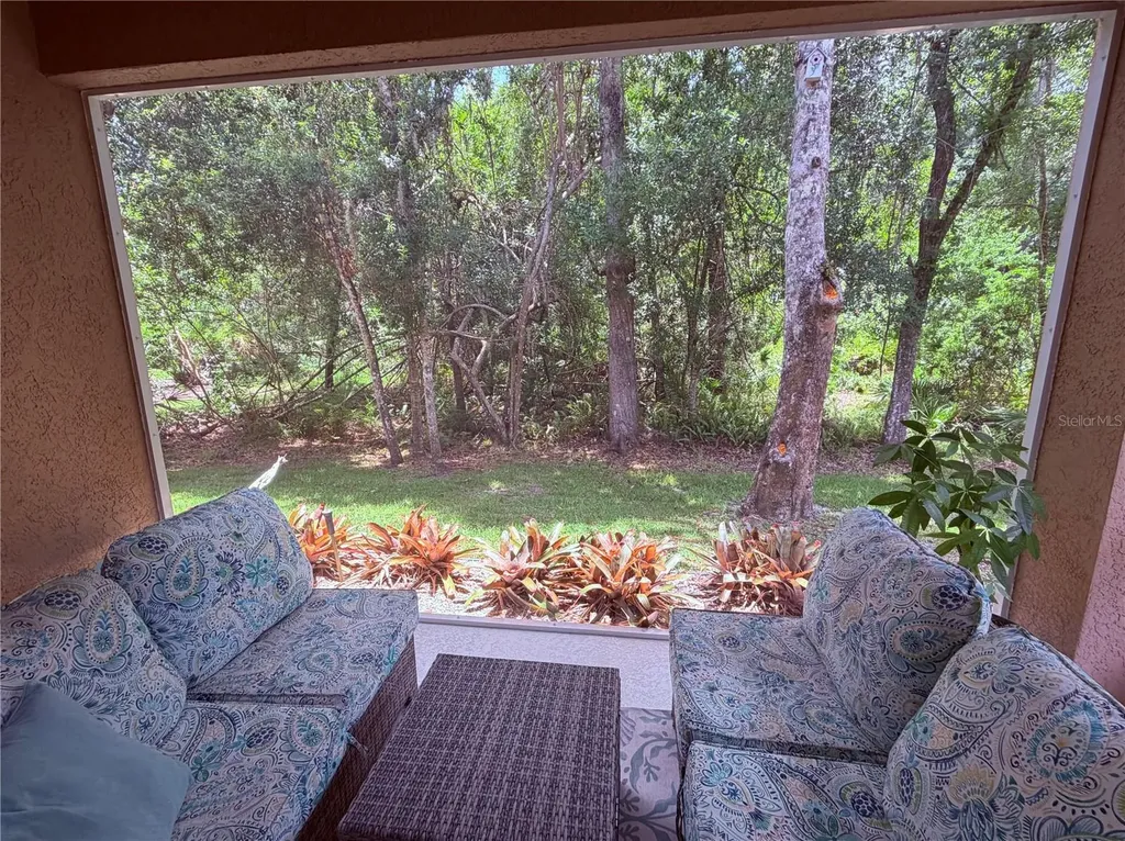4244 Preserve Place Palm Harbor FL 34685