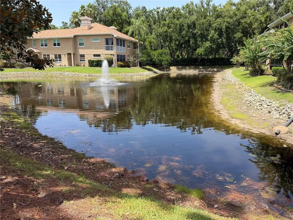4244 Preserve Place Palm Harbor FL 34685