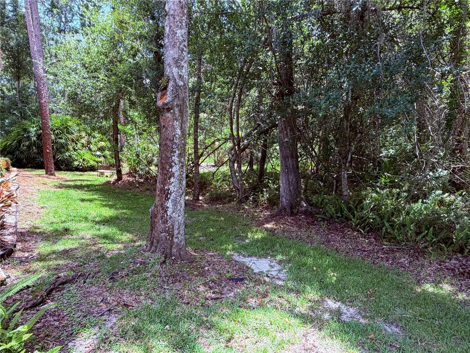 4244 Preserve Place Palm Harbor FL 34685