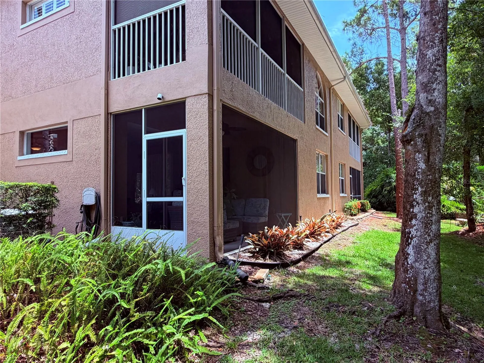 4244 Preserve Place Palm Harbor FL 34685
