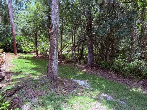 4244 Preserve Place Palm Harbor FL 34685